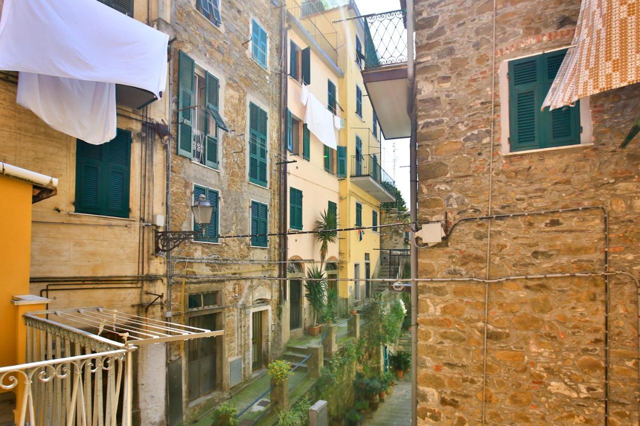 Guest house Cateo